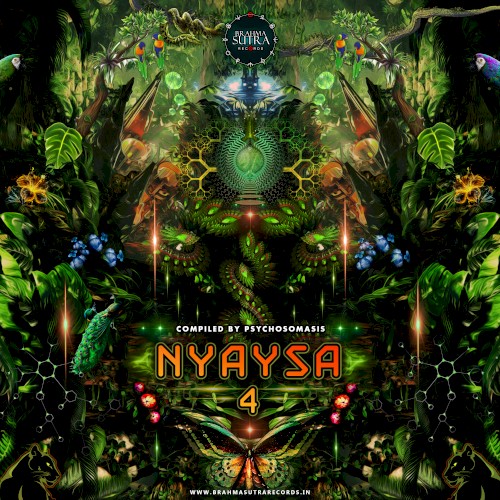 Nyaysa 4