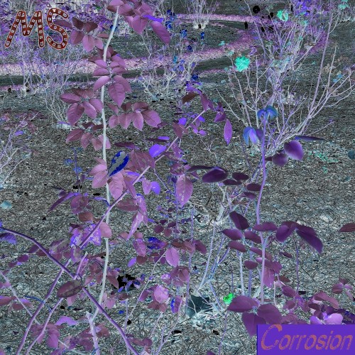 Corrosion