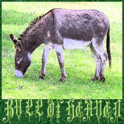 186: A Donkey's Head Sold for Eighty Shekels of Silver