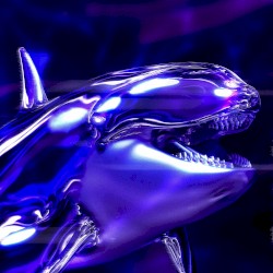 ORCA FREESTYLE