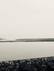 Reverberations