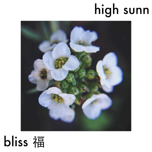 bliss 福