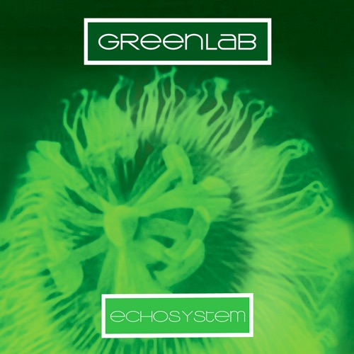 Echosystem