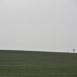 Summer Horizon