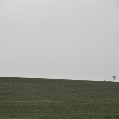 Summer Horizon