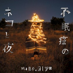 不眠症のネコと夜