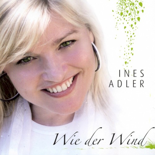 Wie der Wind