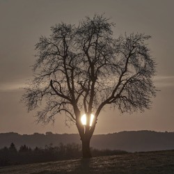 Out There