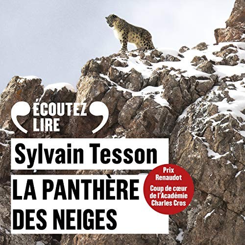 La Panthère des neiges