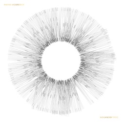 Variant V (orchestral version)