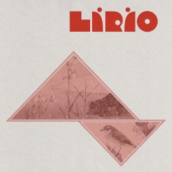 Lírio