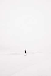 Quiet Snow on an Empty Field