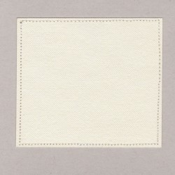 An Empty Canvas