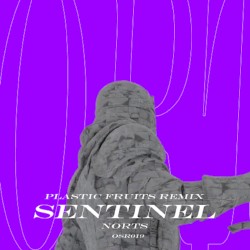 Sentinel (Plastic Fruits remix)