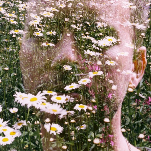 FLOWERS OF FLESH AND BLOOD