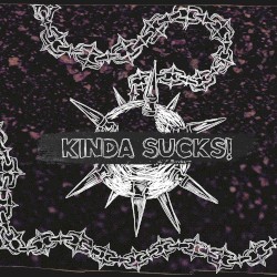 Kinda Sucks!
