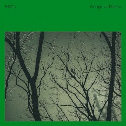 Vestiges of Silence
