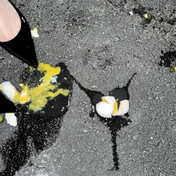 Yolk
