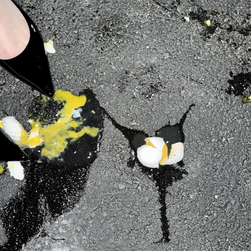 Yolk