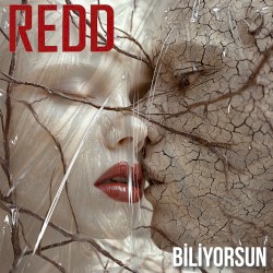 Biliyorsun