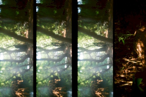 Magic Free