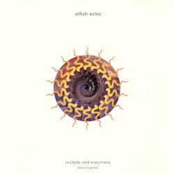 Multiple Void Enjoyment (Almost Forgotten)