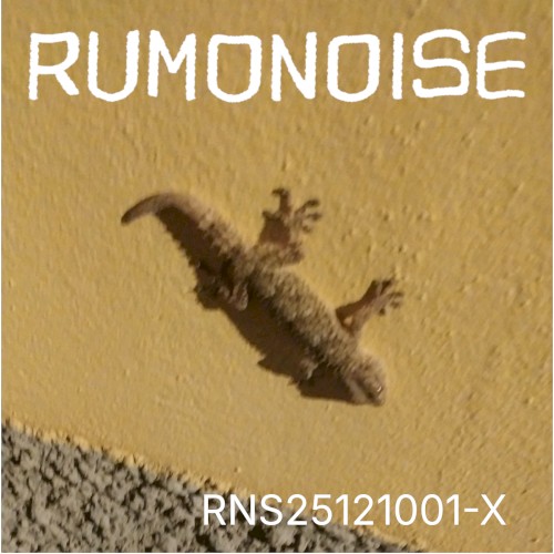 RNS25121001-X