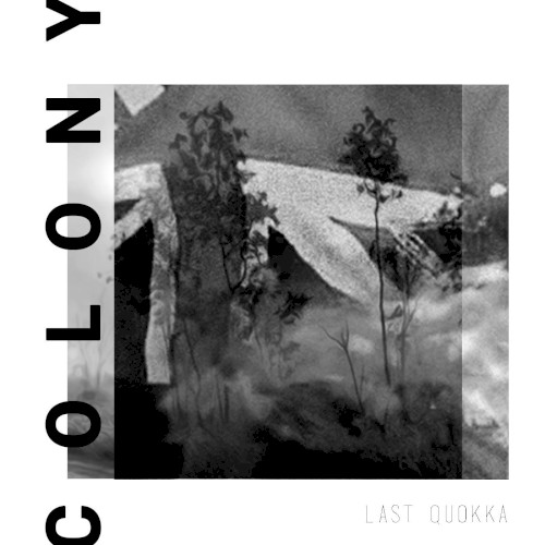 Colony