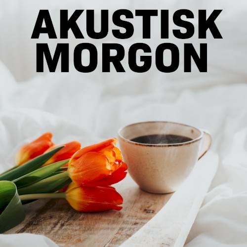 Akustisk morgon