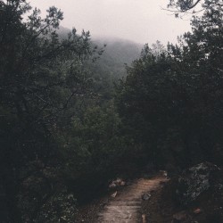 No Turning Back