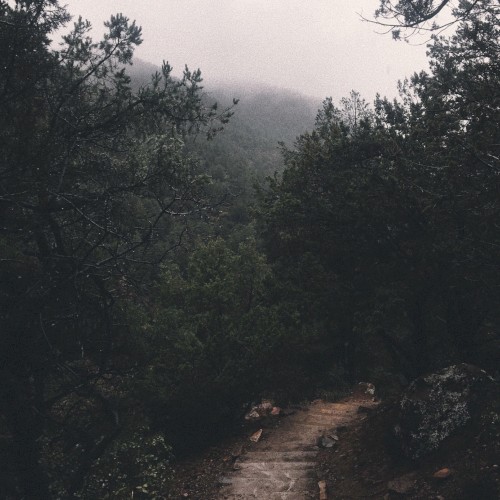 No Turning Back