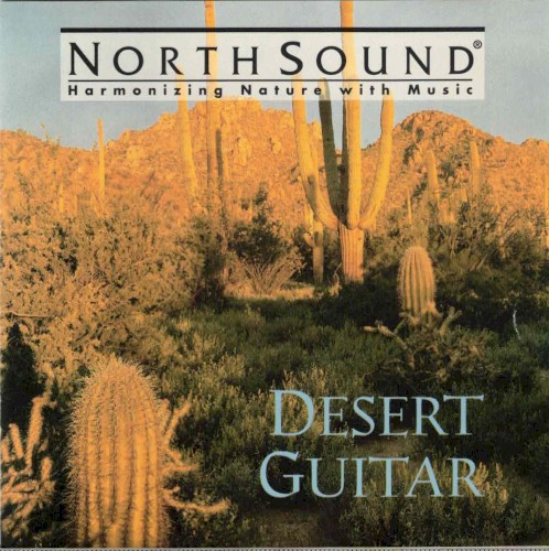 Desert Guitar