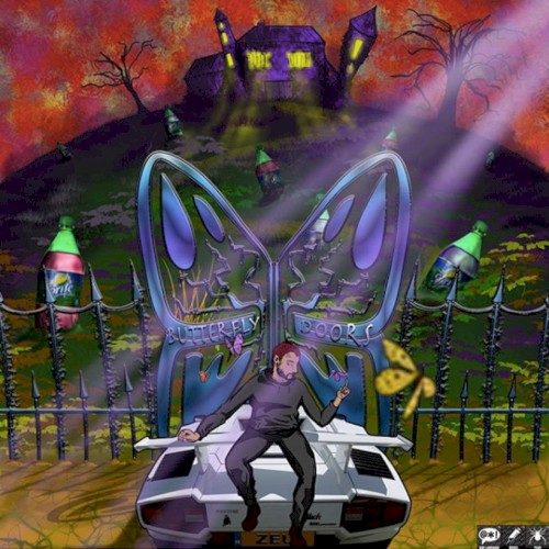 Butterfly doors