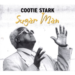 Sugar Man