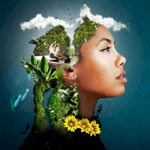 If We Only Knew (From the Documentary Film “Blue Carbon”)