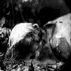 Decomposition