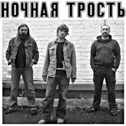 Ночная трость