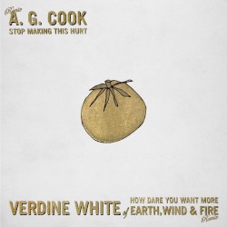 Stop Making This Hurt (A. G. Cook Remix) / How Dare You Want More (Verdine White of Earth, Wind & Fire Remix)