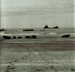 Alvarius B.