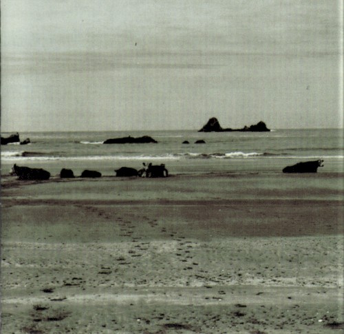 Alvarius B.