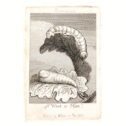 Frontispiece,“What is Man!”