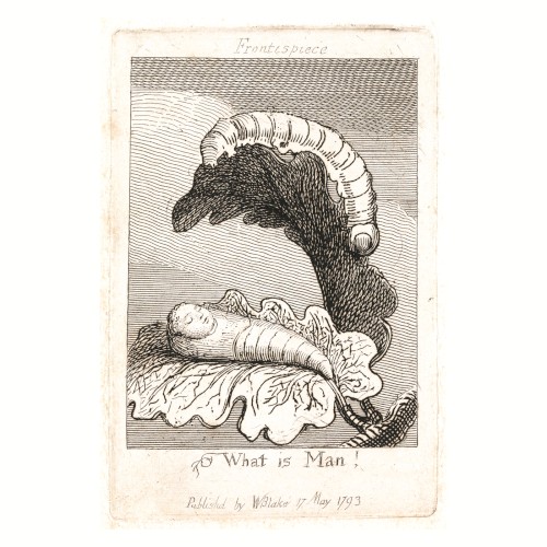 Frontispiece,“What is Man!”