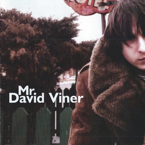 Mr. David Viner
