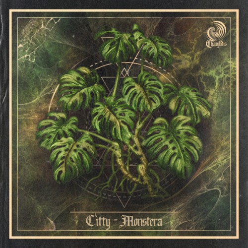 Monstera