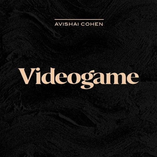 Videogame