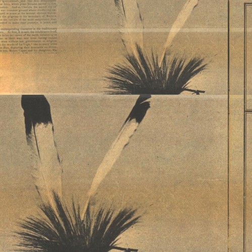 Wild Works Volume 9
