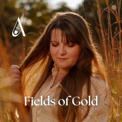 Fields of Gold (Violin Cover)