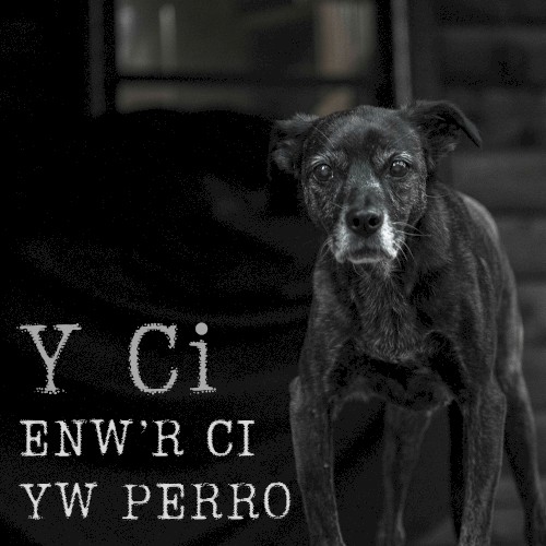 Enw’r Ci Yw Perro