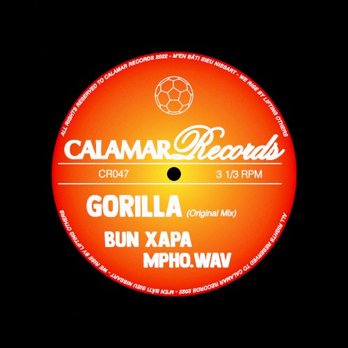 Gorilla