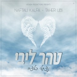טהר ליבי